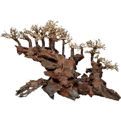 Bonsai wood tree - Water bridge bonsai - trærod - 40x30x30cm